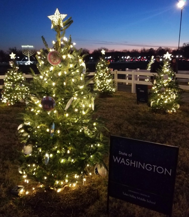 Washington's state Christmas tree, 2023.